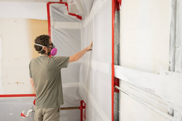 Environmental Consulting for Mold Prevention in Kaneohe, HI