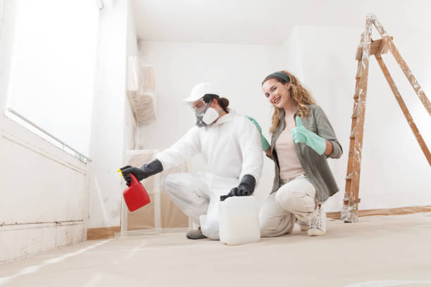 Best Post-Construction Mold Inspection  in Kaneohe, HI